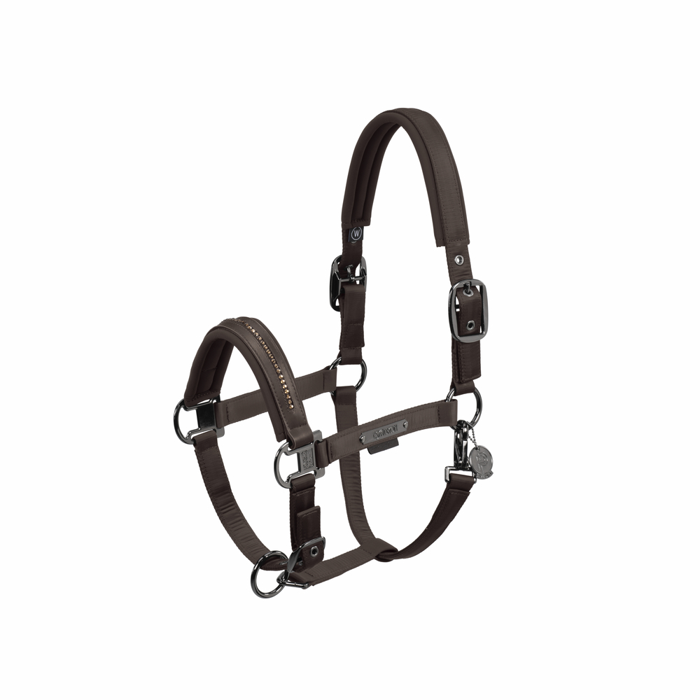 Halfter Double Pin Glossy Crystal Platinum24