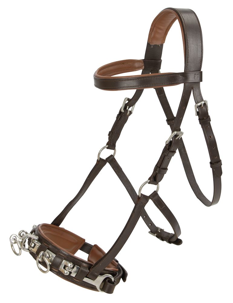 braun Warmblut Kappzaum aus Leder Full 