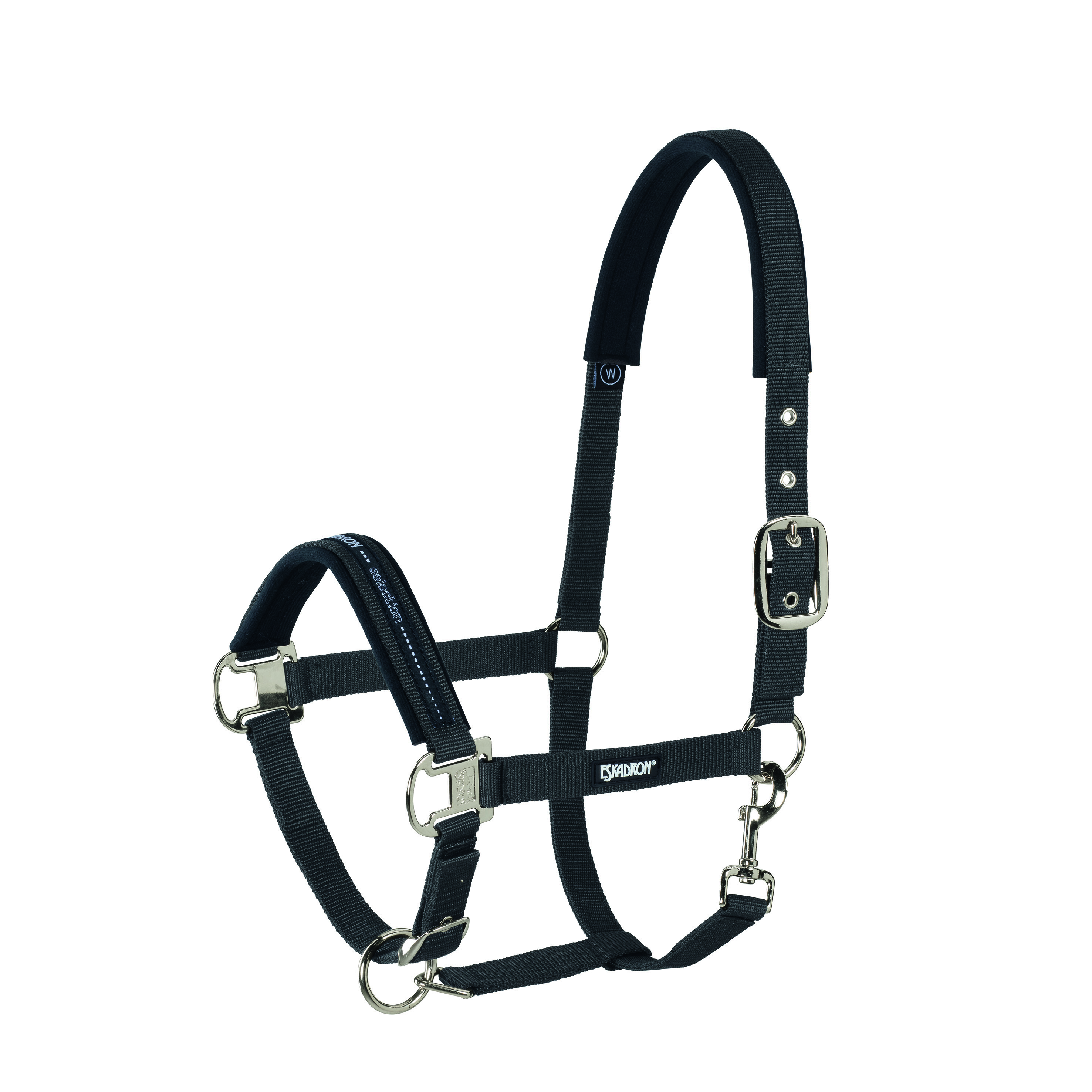 Eskadron Halfter Basics Dornschnalle vernickelt Eskadron Halfter Basics Dornschnalle vernickelt