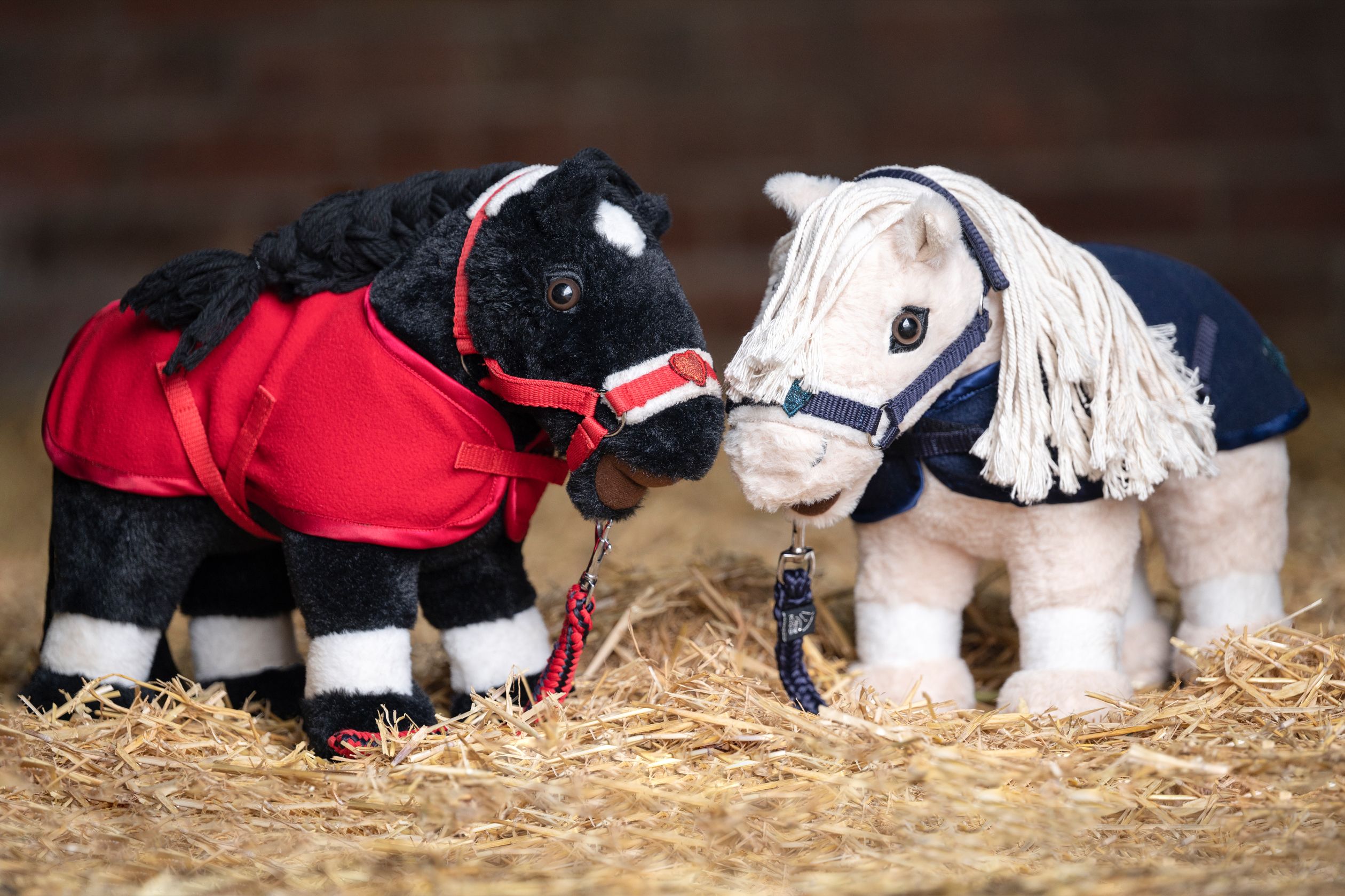 Starterset Cuddle Pony