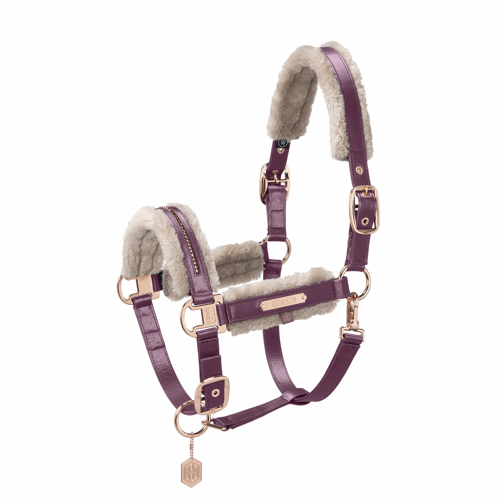 Halfter Glamslate FF D.Pin Heritage23/24
