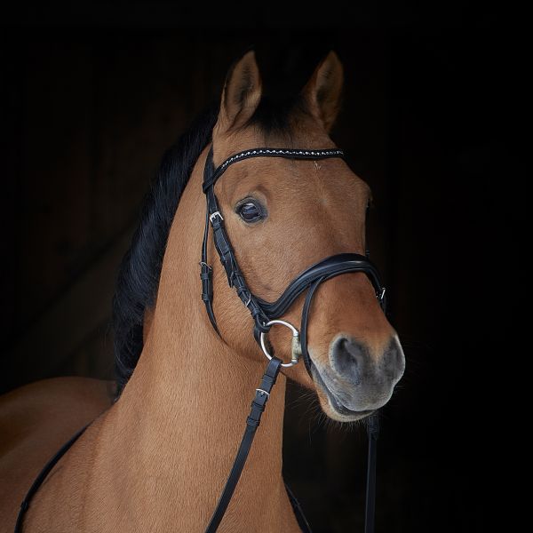 Kieffer Zaumzeug Ilona Endmaßpony