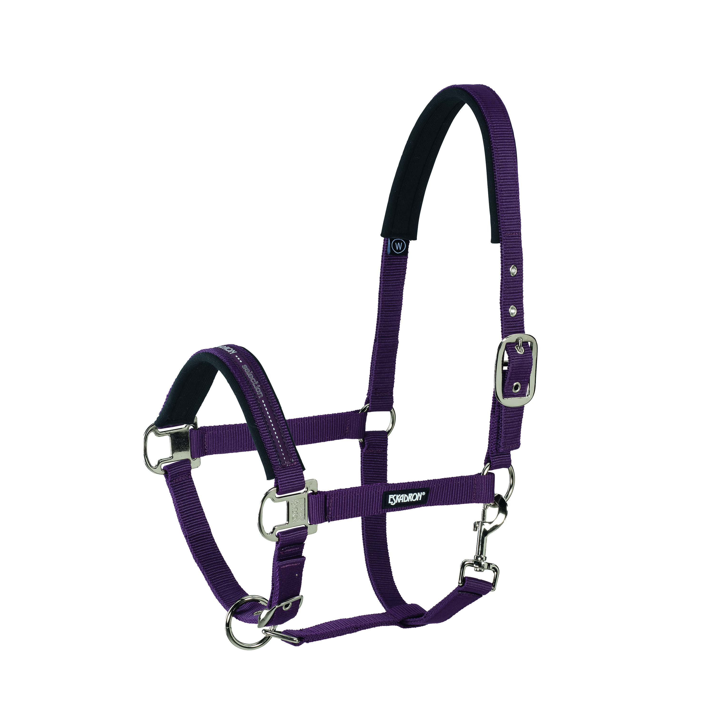 Eskadron Halfter Basics Dornschnalle vernickelt Eskadron Halfter Basics Dornschnalle vernickelt