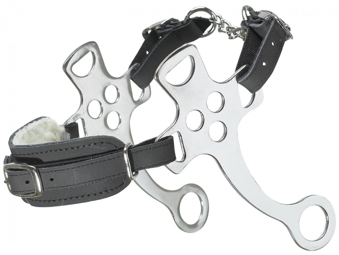 Hackamore 