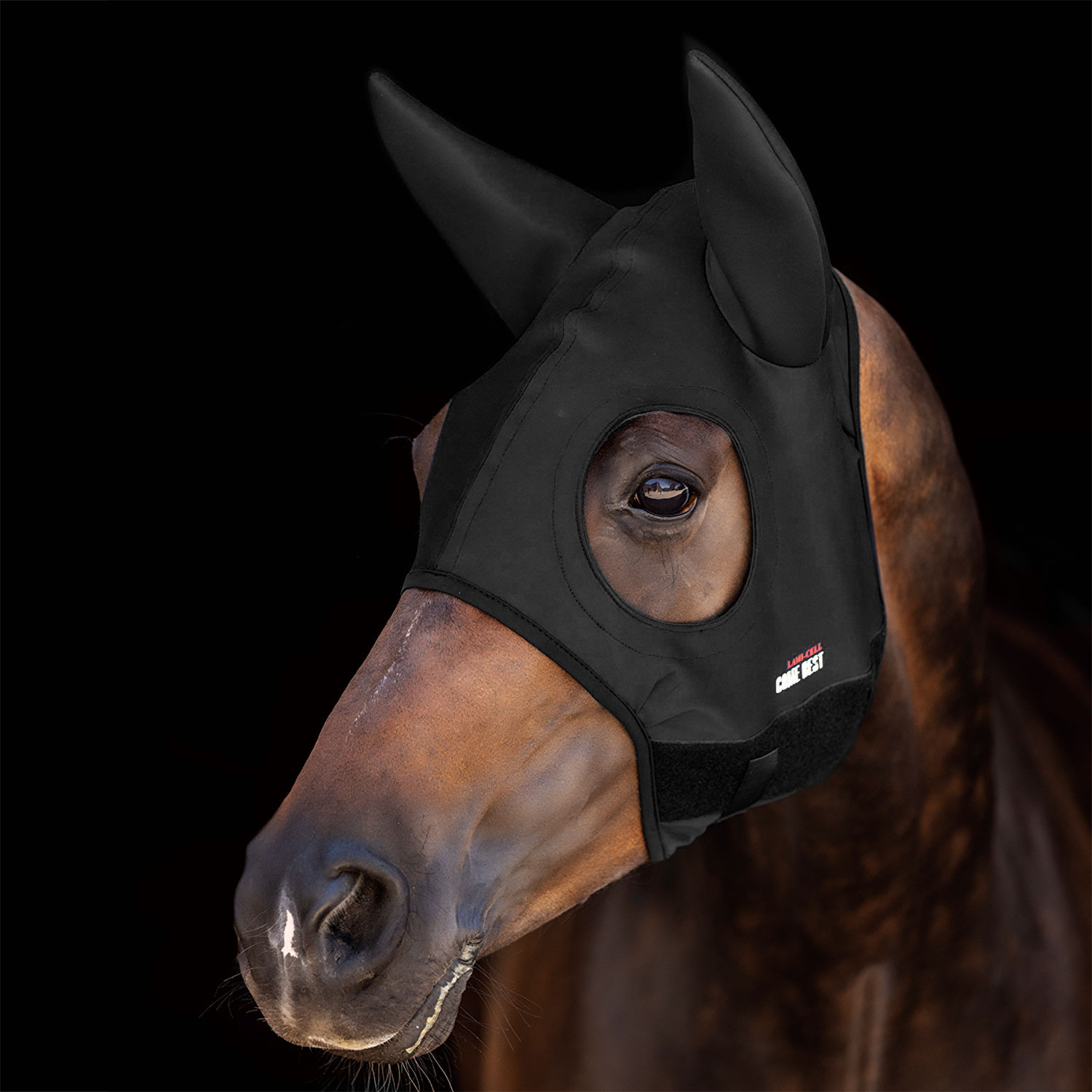 Maske Titanium mit Ohren
