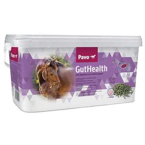 Pavo GutHealth 8kg