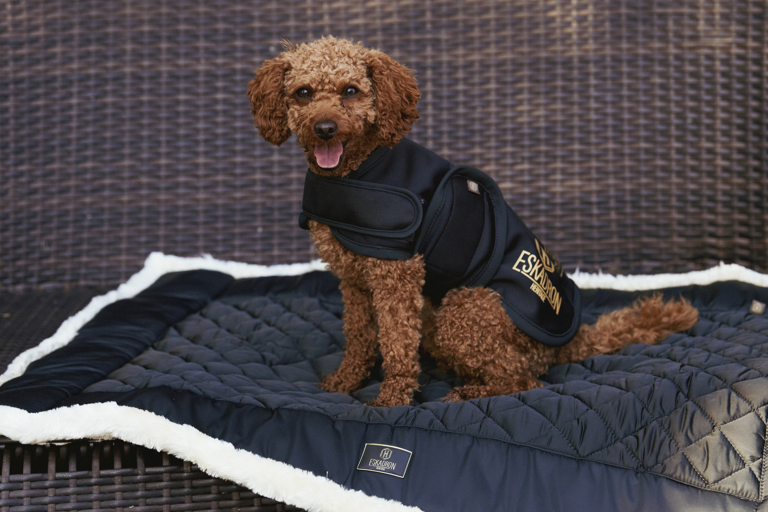 Eskadron Heritage Hundemantel Softshell 21/22