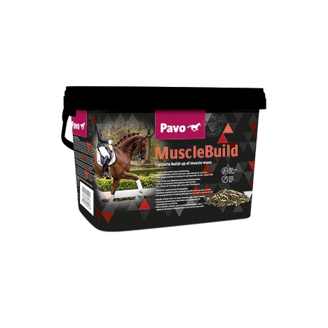 Pavo MuscleBuild 3kg