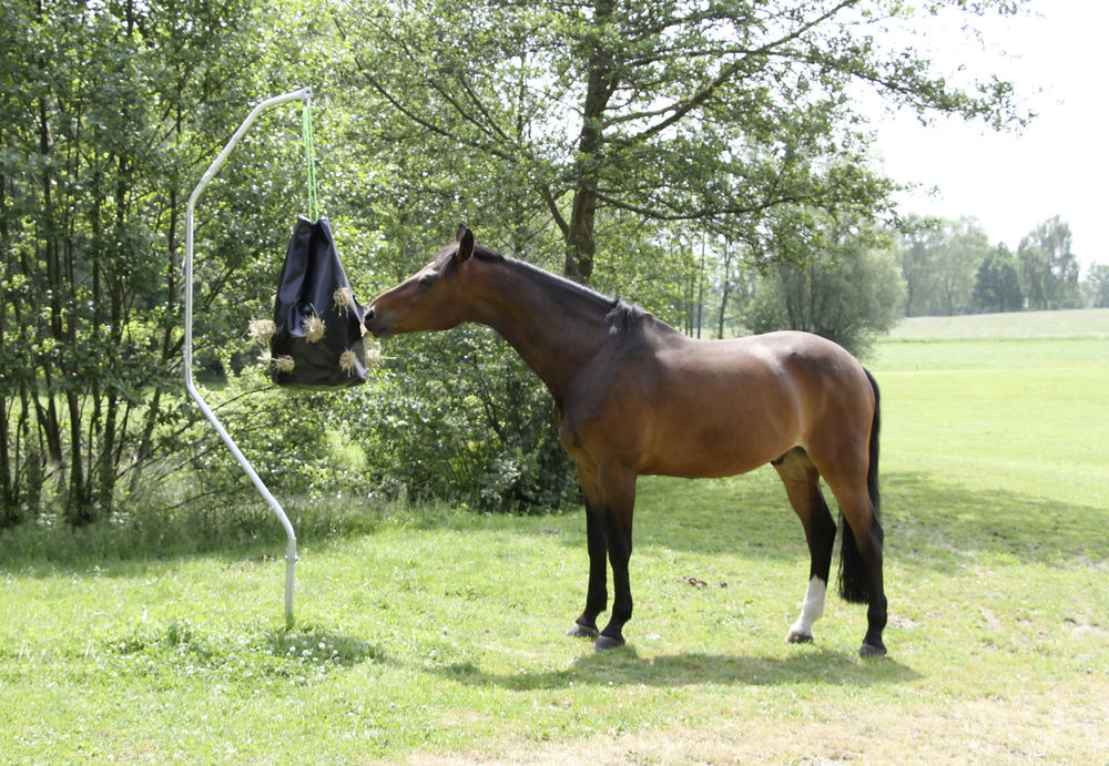 Hay Bag groß für ca. 16kg heu