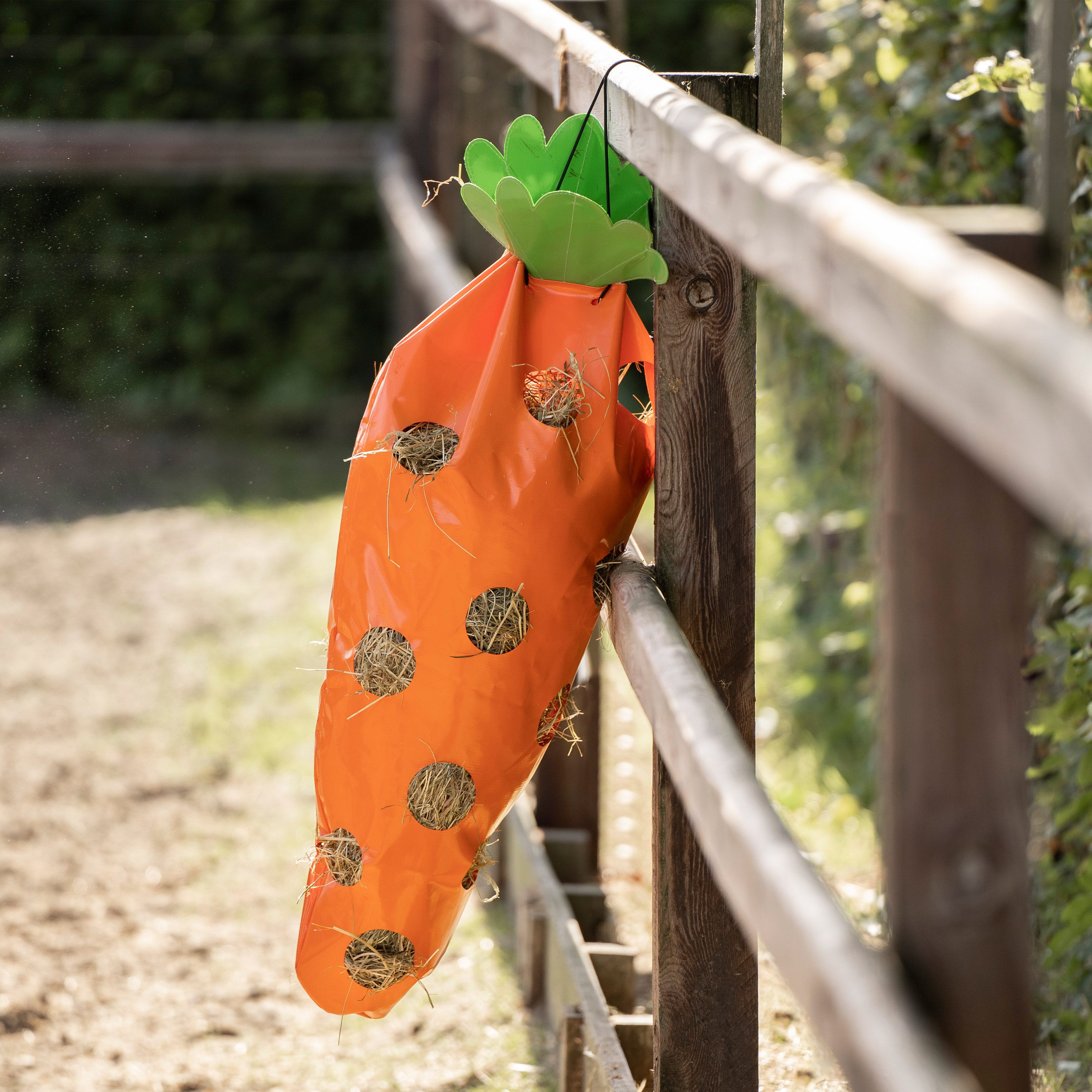 Heutasche IRHCarrot