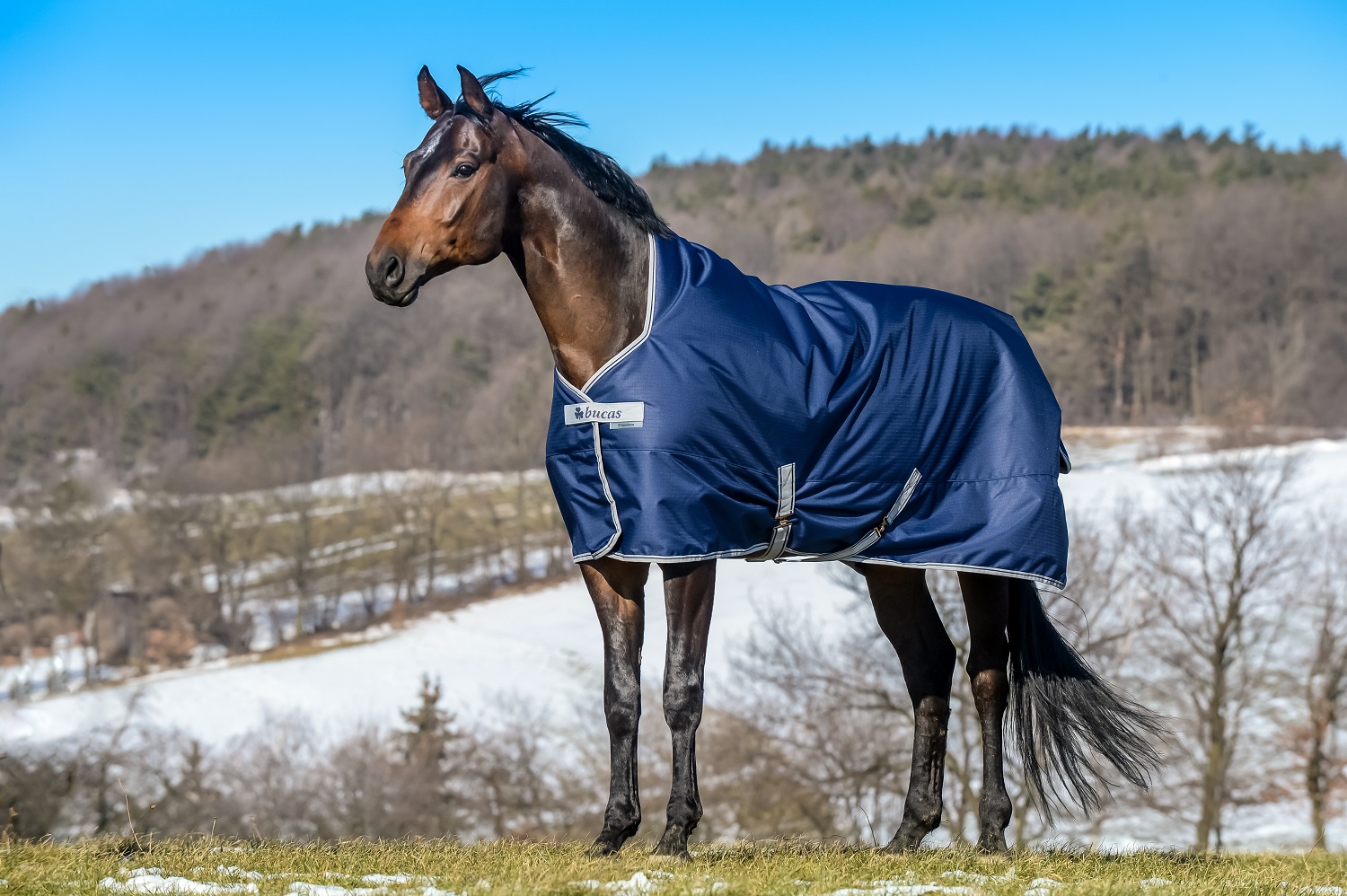 Weidedecke 150g Freedom High Neck Turnout 