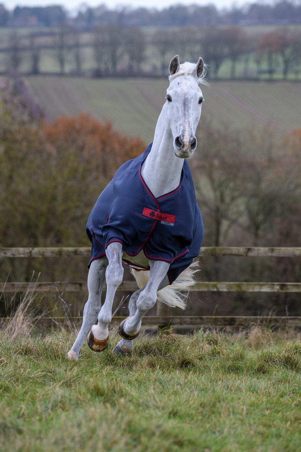 Weidedecke 300g Freedom Turnout 