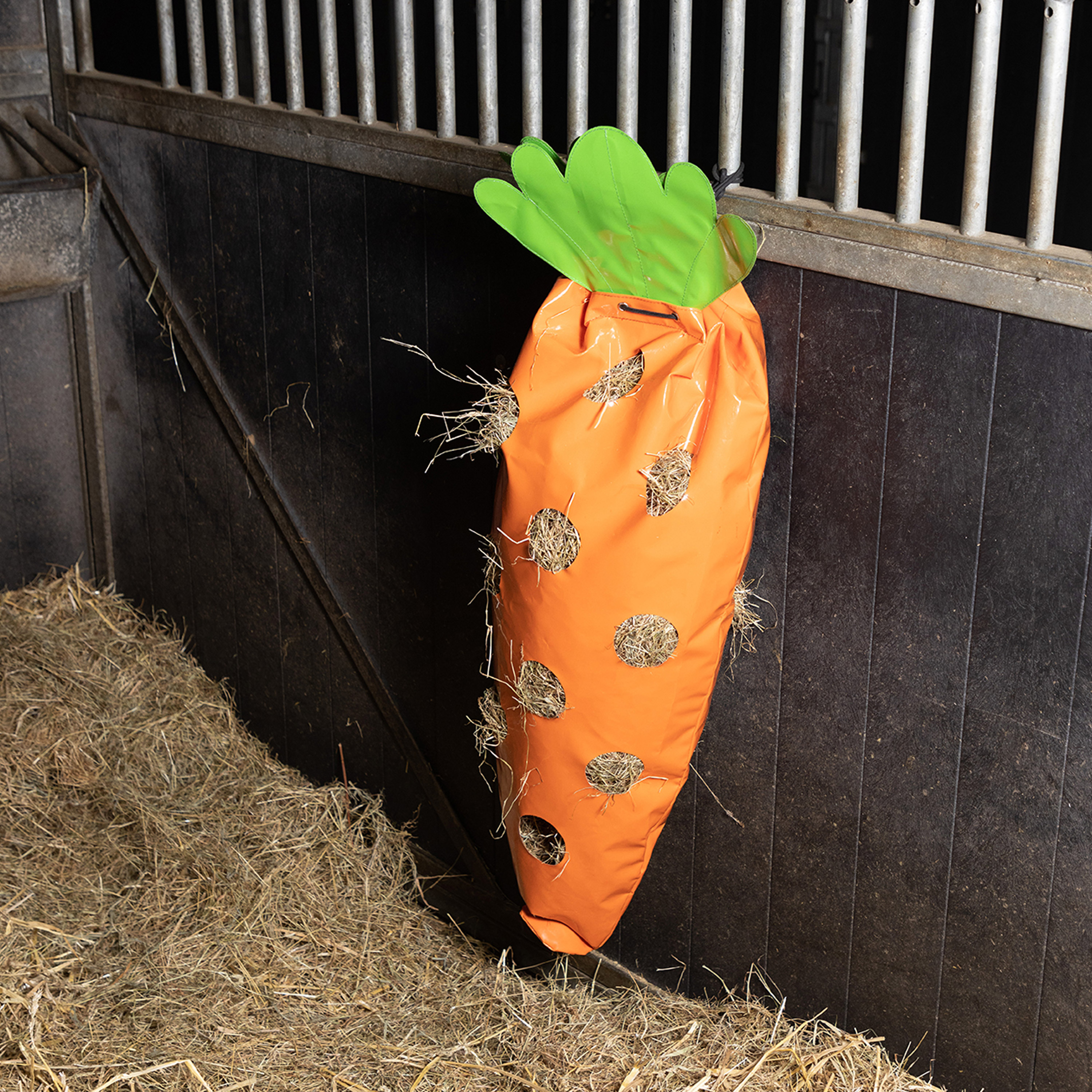   Heutasche IRHCarrot