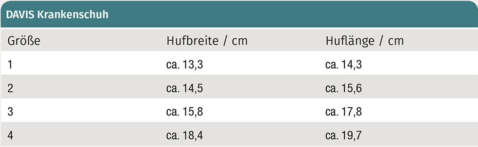 Davis Krankenhufschuh 
