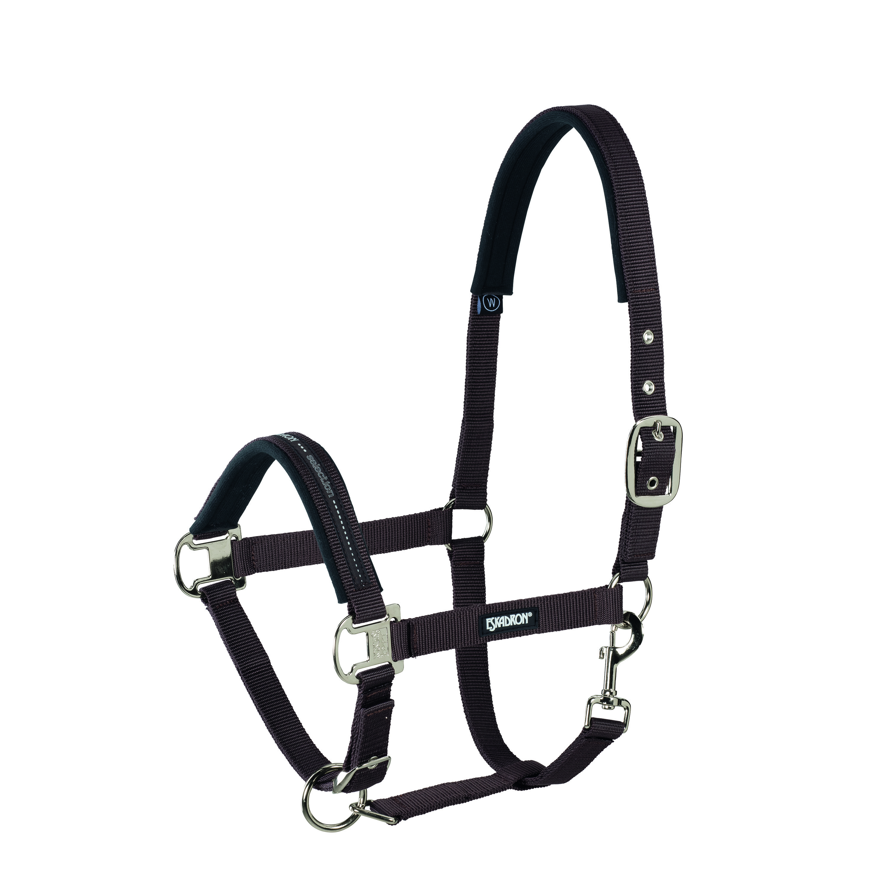 Eskadron Halfter Basics Dornschnalle vernickelt Eskadron Halfter Basics Dornschnalle vernickelt