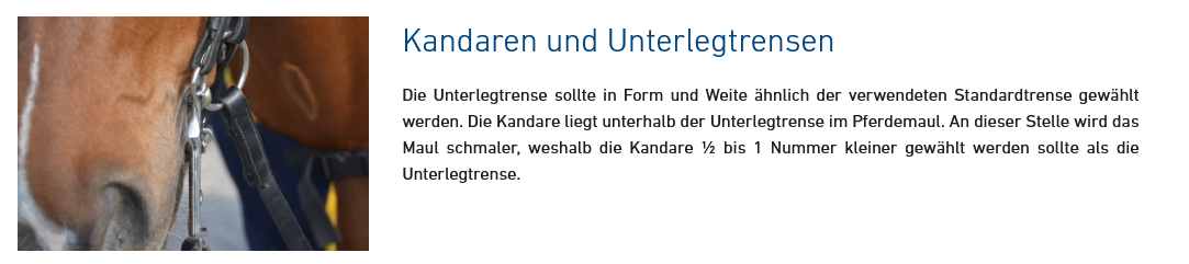 HS Bemelmans Reit-Kandare 16mm/5cm Unterzug Sensogan 