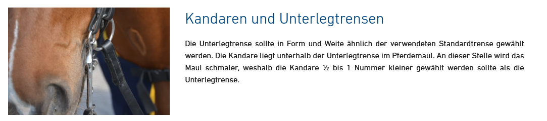 HS Unterlegtrense MaxControl mit Stangenwirkung