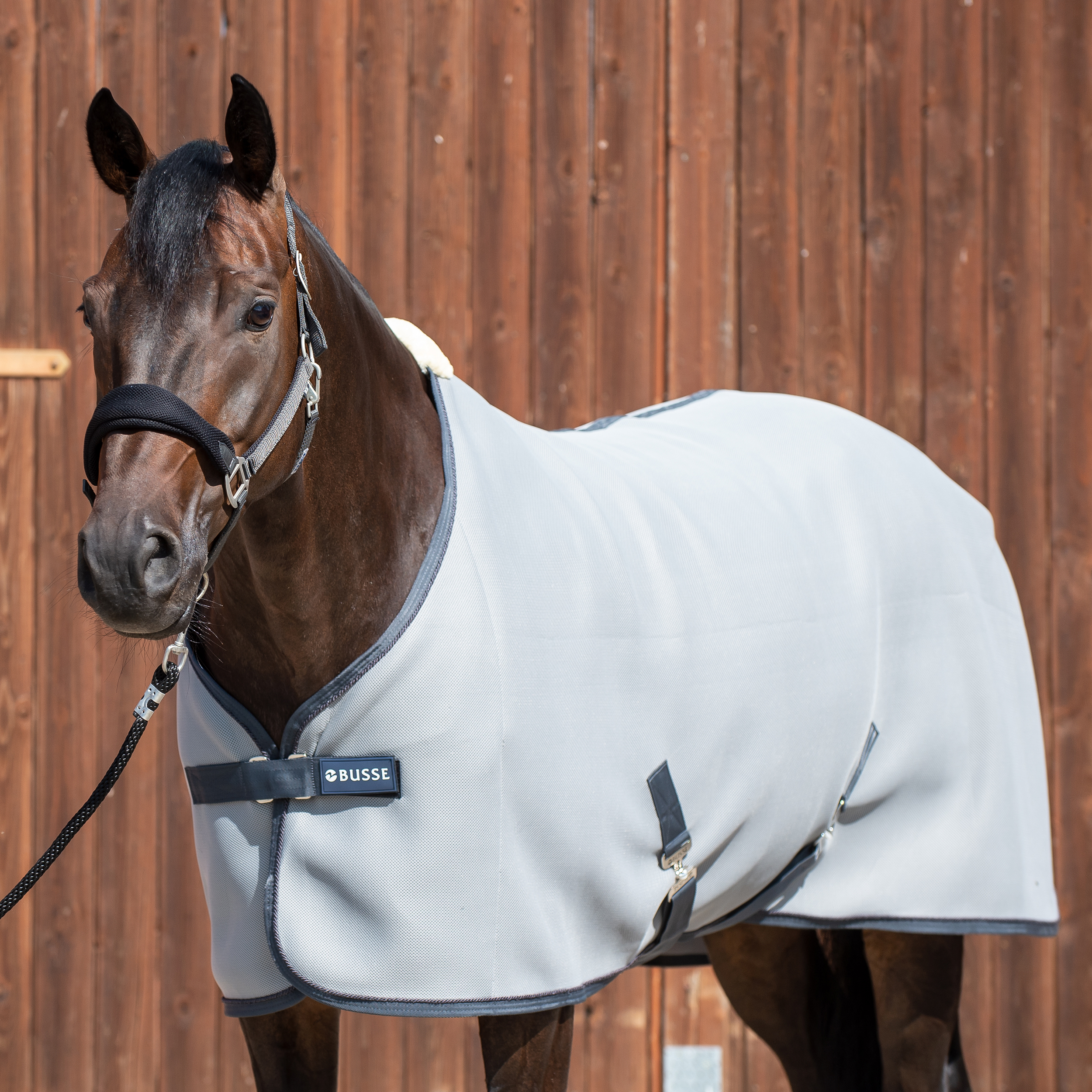 Article-4cc8bbf5-b546-4a61-95e6-5f1e5b0027fb_TN603609_cw5(4).png.png Abschwitzdecke 3D AIR Busse