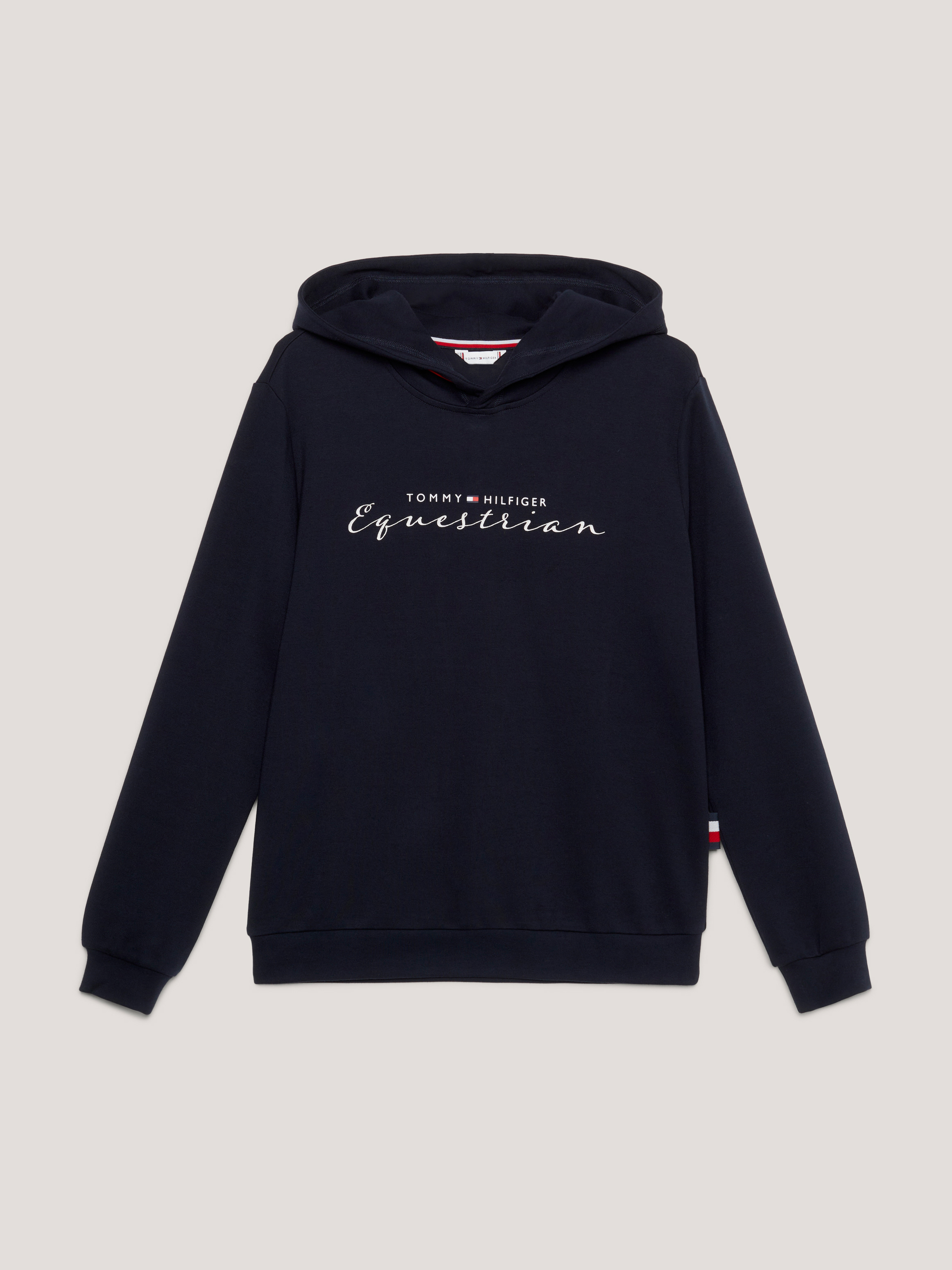 Hoodie Metallic Logo Graphic